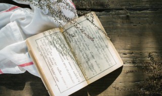 鹓鸾是什么怎么读 鹓鸾是什么怎么读的