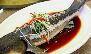 清蒸鲟鱼的做法（清蒸鲟鱼的做法图解）