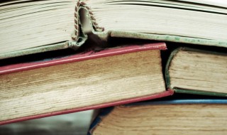 经风雨见世面的意思（经风雨见世面是什么意思）