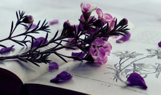 经师易遇人师难遭的意思（经师易遇人师难遇是什么意思）