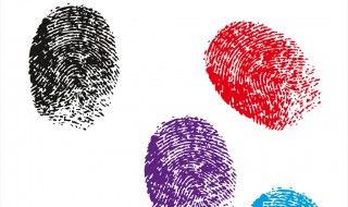 指纹的种类有哪些 指纹的种类有哪些图