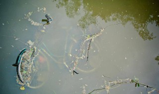 治理水污染的措施（治理水污染的措施5条英语）