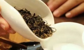 龙舞茶怎么泡（龙舞茶怎么泡才好喝）