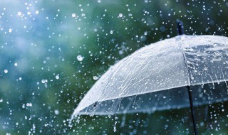 什么的雨(什么的雨滴)