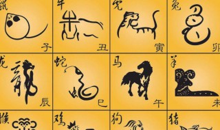 2022年的生肖运势大全 2022年的生肖运势大全属龙的运势