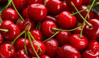 樱桃树夏天可以剪枝吗(樱桃夏季怎么剪枝)