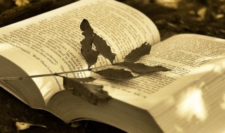 直观图是什么意思（直观图是什么意思小学）