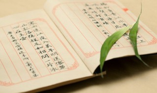 谈的组词（谈的组词和拼音）