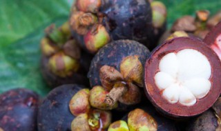 山竹是从哪里长出来的 山竹是在哪里长出来的