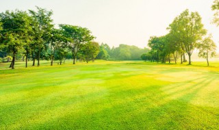 ?什么是绿色制造（什么是绿色制造,包括哪些环节）