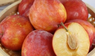 辽宁水果特产有哪些 辽宁的水果有哪些