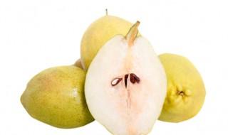 甘肃水果特产有哪些 甘肃特色水果有哪些