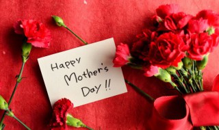 康乃馨象征着什么意义（康乃馨的象征意义是什么?）