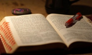 落红不是无情物中的落红是什么意思（落红不是无情物的落红是什么意思?）