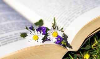 学而时之不亦说乎的意思和出处(学而时学之不亦说乎的意思的)