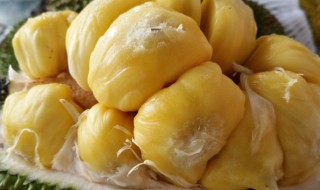 江苏水果特产有哪些（江苏水果特产有哪些吃的）