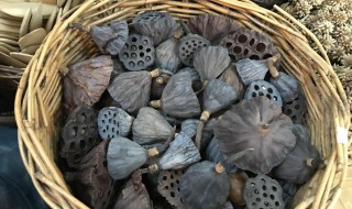 莲蓬怎样晒干 晒干的莲蓬可以放多久