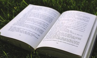 竹石古诗的意思翻译 竹石古诗的意思翻译10字