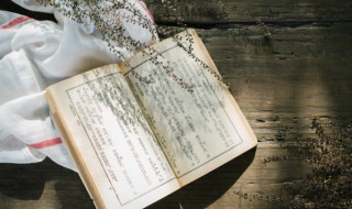 语文名词是什么意思(语文名词是什么意思视频)