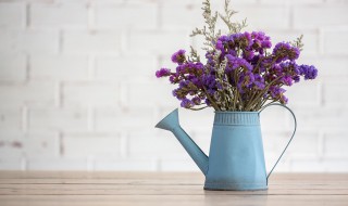 勿忘我的花语是什么意思（勿忘我的花语是什么意思 寓意）