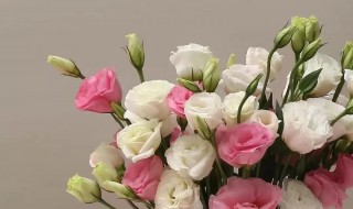 洋桔梗花代表什么意思 洋桔梗花代表什么意思啊