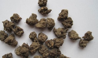 猫爪草是什么药材（猫爪草是什么药材做成的）