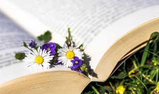 竹里馆古诗的意思及诗意（竹里馆这篇古诗的意思）