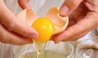 鸡蛋浇花的正确方法 鸡蛋可以用来浇花吗