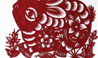 属牛和属兔能不能合作（属牛和属兔能不能合作财运）