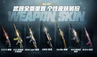 如何免费领取枪械皮肤（怎样免费领取枪械皮肤）