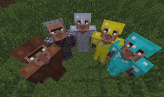 我的世界村民怎么生成（我的世界村民怎么生成村庄）