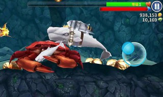 饥饿鲨进化大螃蟹怎么打 饥饿鲨进化中巨蟹怎么打