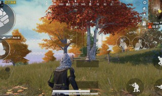 和平精英的哥斯拉在哪 和平精英的哥斯拉在哪个地图