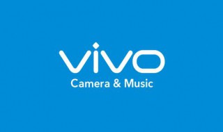 vivo手机自拍杆按键不能拍照 vivo手机不能用自拍杆拍照