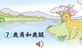 鹿角和鹿腿寓言的寓是什么（鹿角和鹿腿的寓言意义）