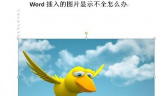 word图片显示不全只有一半怎么办 word图片只能显示一半怎么办