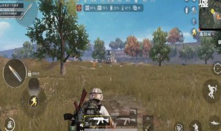 和平精英泡面在哪里 和平精英里的泡面在哪里