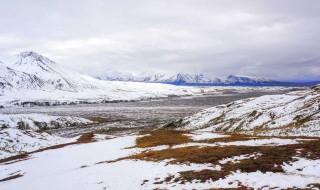 阿拉斯加海冰的影响 阿拉斯加冰河湾