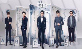 爱上北斗星男友电视剧分集剧情（爱上我的北斗星男友电视剧）