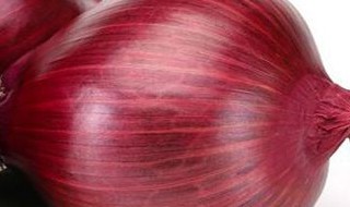 吃羊腿之前为什么吃生洋葱 吃羊腿之前为什么吃生洋葱会拉肚子