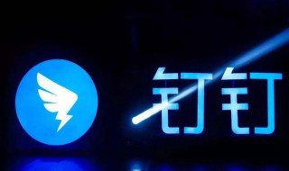 钉钉分屏功能在哪里 钉钉分屏功能在哪里iphone