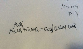碳酸钠与碱的反应方程式（碳酸钠和碱反应的方程式）