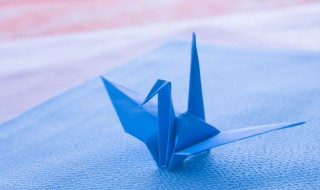 丹顶鹤的折法（丹顶鹤的折法视频）