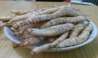 地参种植周期 地参的种植和管理