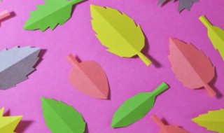 树叶的剪法 树叶的剪法步骤图片