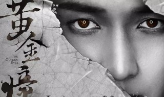 孙权是不是真的有黄金瞳?(孙权是蓝眼睛吗)