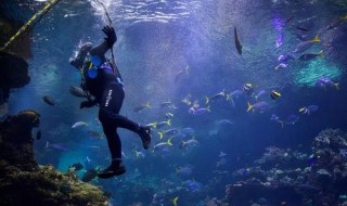 潜水员怎么在水下呼吸（潜水员如何在水下呼吸）