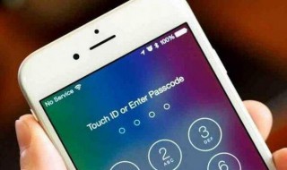 苹果11确认iphone密码无法链接服务器（iphone11确认密码连接服务器出现问题）