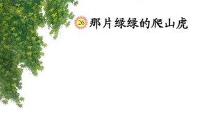 那片绿绿的爬山虎课文原文（那片绿绿的爬山虎课文原文拼音）