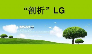 学籍号l和g有什么区别 为什么学籍号有的是G有的是L